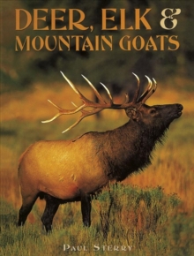 Image for Deer, elk & mountain goats