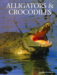 Image for Alligators & crocodiles