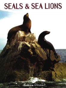 Image for Seals & sea lions