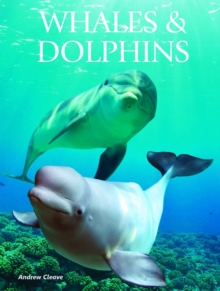 Image for Whales & dolphins
