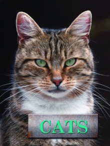 Image for Cats