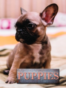 Image for Puppies