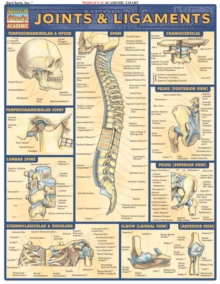 Image for Joints and Ligaments