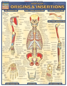Image for Muscle Origins and Insertions