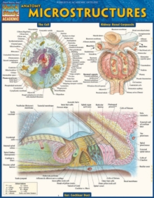 Image for Anatomy: Microstructures