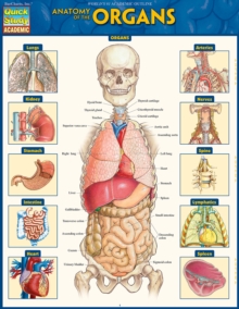 Image for Anatomy of the Organs: QuickStudy Reference Guide