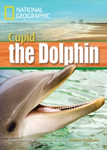 Dolphin Named Cupid
