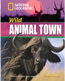 Wild Animal Town + Book with Multi-ROM