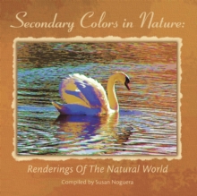 Image for Secondary Colors in Nature : Renderings of the Natural World