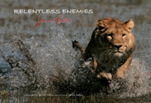 Image for Relentless Enemies