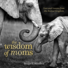 Wisdom of Moms