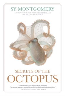 Image for Secrets of the Octopus