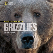 Image for Face to Face With Grizzlies