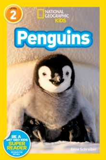 Image for National Geographic Kids Readers: Penguins