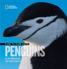 Image for Face to face with penguins
