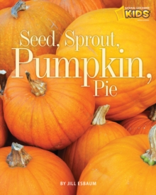 Image for Seed, sprout, pumpkin, pie