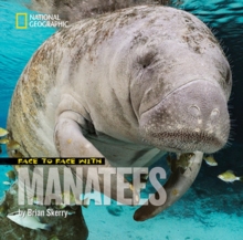 Image for Face to Face with Manatees