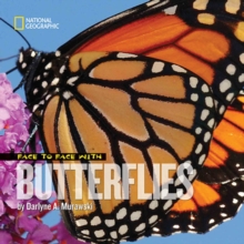 Image for Face to Face with Butterflies