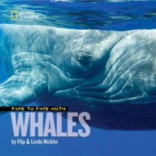 Image for Face to Face with Whales