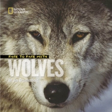 Image for Face to face with wolves