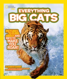 Image for Everything big cats  : pictures to purr about and info to make you roar!