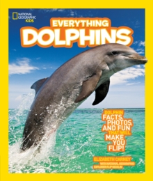 Image for Everything Dolphins