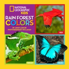 Image for Rain Forest Colors