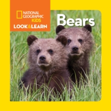 Image for Look and Learn: Bears
