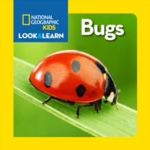 Image for Look and Learn: Bugs