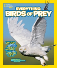 Image for Everything birds of prey