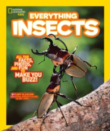 Image for Everything insects
