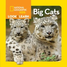 Image for Look and Learn: Big Cats