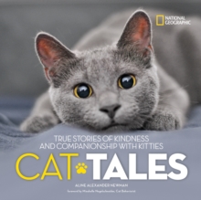 Image for Cat tales  : true stories of kindness and companionship with kittens