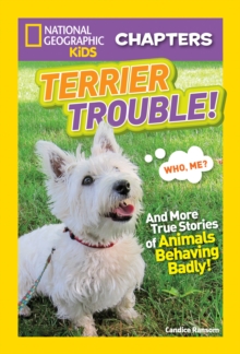 Image for Terrier trouble!