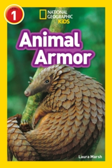 Animal Armor