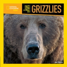 Image for Face to Face with Grizzlies