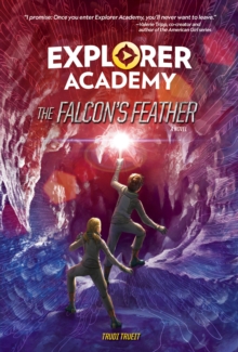 Image for The falcon's feather