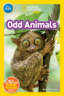 Image for Odd Animals (Pre-Reader)