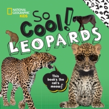 Image for So cool! leopards