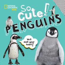 So Cute: Penguins