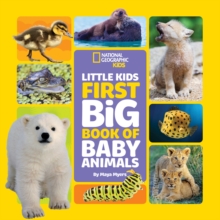 Image for Little Kids First Big Book of Baby Animals