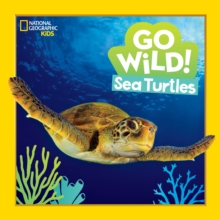 Image for Go Wild! Sea Turtles