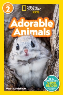 Image for Adorable Animals
