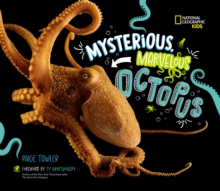 Image for Mysterious, Marvelous Octopus!