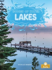 Image for Lakes
