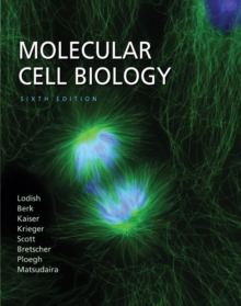 Image for Molecular Cell Biology