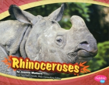Rhinoceroses (Asian Animals)