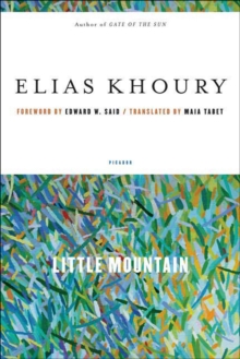 Image for Little Mountain