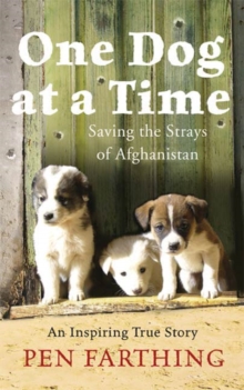 Image for One Dog at a Time: Saving the Strays of Afghanistan