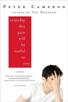 Image for Someday this pain will be useful to you